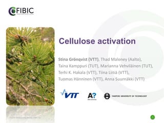 1
Cellulose activation
Stina Grönqvist (VTT), Thad Maloney (Aalto),
Taina Kamppuri (TUT), Marianna Vehviläinen (TUT),
Terhi K. Hakala (VTT), Tiina Liitiä (VTT),
Tuomas Hänninen (VTT), Anna Suurnäkki (VTT)
Finnish Bioeconomy Cluster FIBIC Oy
 