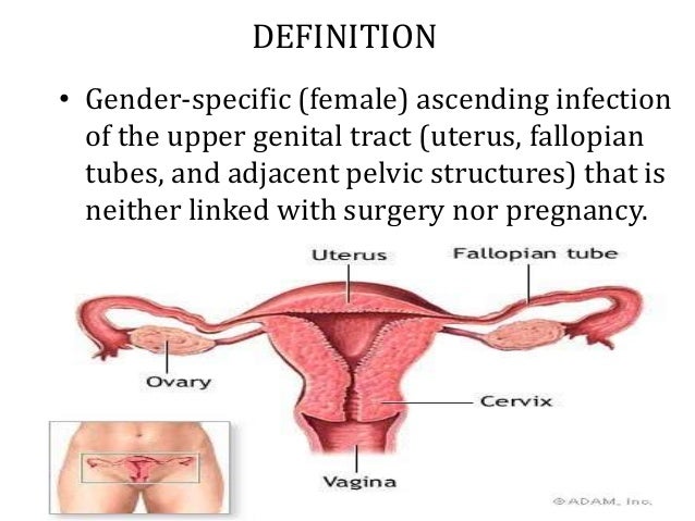 Diagnosis and treatment of ureaplasma in women Diagnosis and treatment of ureaplasma in women