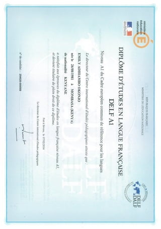 DELF A1 French certificate