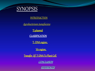 SYNOPSIS
INTRODUCTION
Agrobacterium tumefaciens
Ti plasmid
CLASSIFICATION
T- DNAregion:
Vir region:
Transfer Of T-DNATo Plant Cell
 