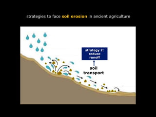 soil
transport
strategy 2:
reduce
runoff
strategies to face soil erosion in ancient agriculture
 