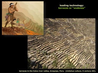 terraces in the Colca river valley, Arequipa, Peru. (Collahua culture, X century AD).
leading technology:
terraces or “andenes”
 