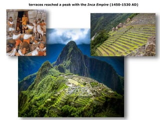 terraces reached a peak with the Inca Empire (1450-1530 AD)
 