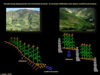 transforming sloping lands into horizontal terrains: to increase infiltration and reduce runoff & soil erosion
F. Delgado - CIDIAT
runoff & soil erosion
infiltration
infiltration
 
