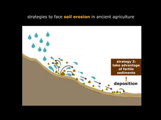 deposition
strategy 3:
take advantage
of fertile
sediments
strategies to face soil erosion in ancient agriculture
 