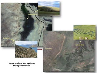 raised beds
terraces
raised field
integrated ancient systems
facing soil erosion
terraces
raised field
 