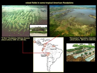 raised fields in some tropical American floodplains
Titicaca lake
(highplain)
“El Beni” floodplains, Bolivian Amazon
(Baure culture; 1000 b.C.-300 AD)
Amazon river
“Momposina” depression, Colombia
(Zenú culture; 200 b.C. to 1000 AD)
 