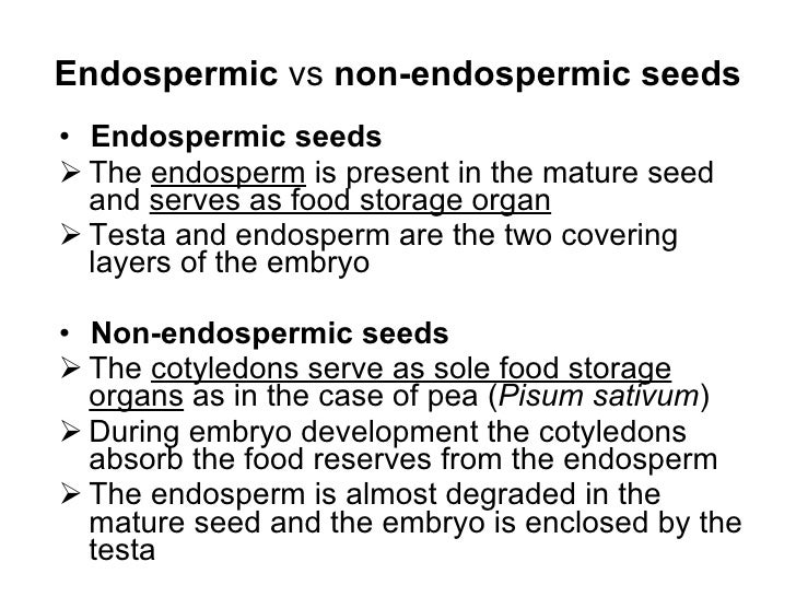 Chapter 16 Reproduction in Plants Lesson 3 Fertilization & post fer…