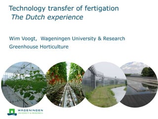 Technology transfer of fertigation
The Dutch experience
Wim Voogt, Wageningen University & Research
Greenhouse Horticulture
 