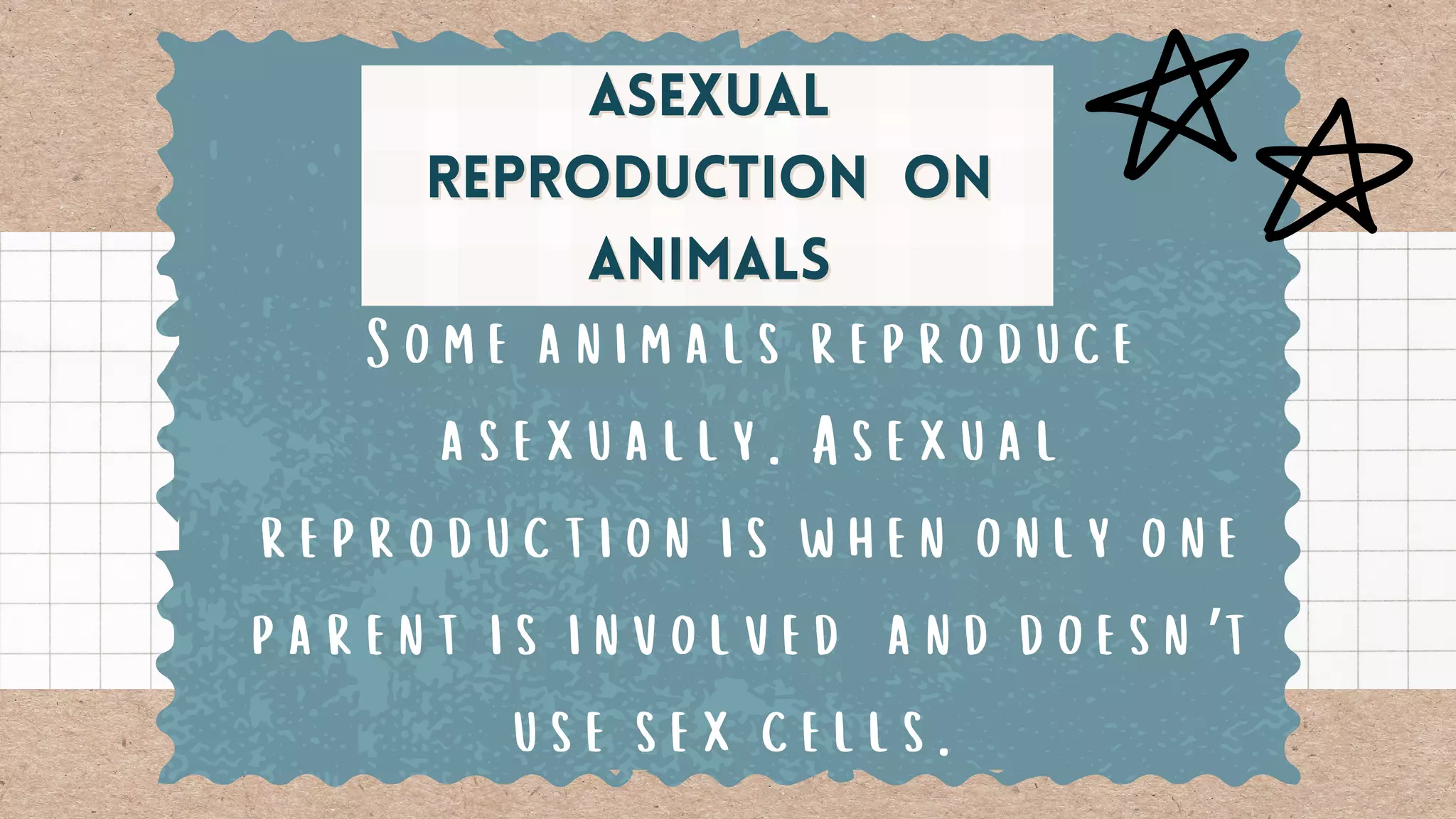 Asexual
Asexual
Reproduction
Reproduction on
on
animals
animals
Some animals reproduce
asexually. Asexual
reproduction is when only one
parent is involved and doesn’t
use sex cells.
 