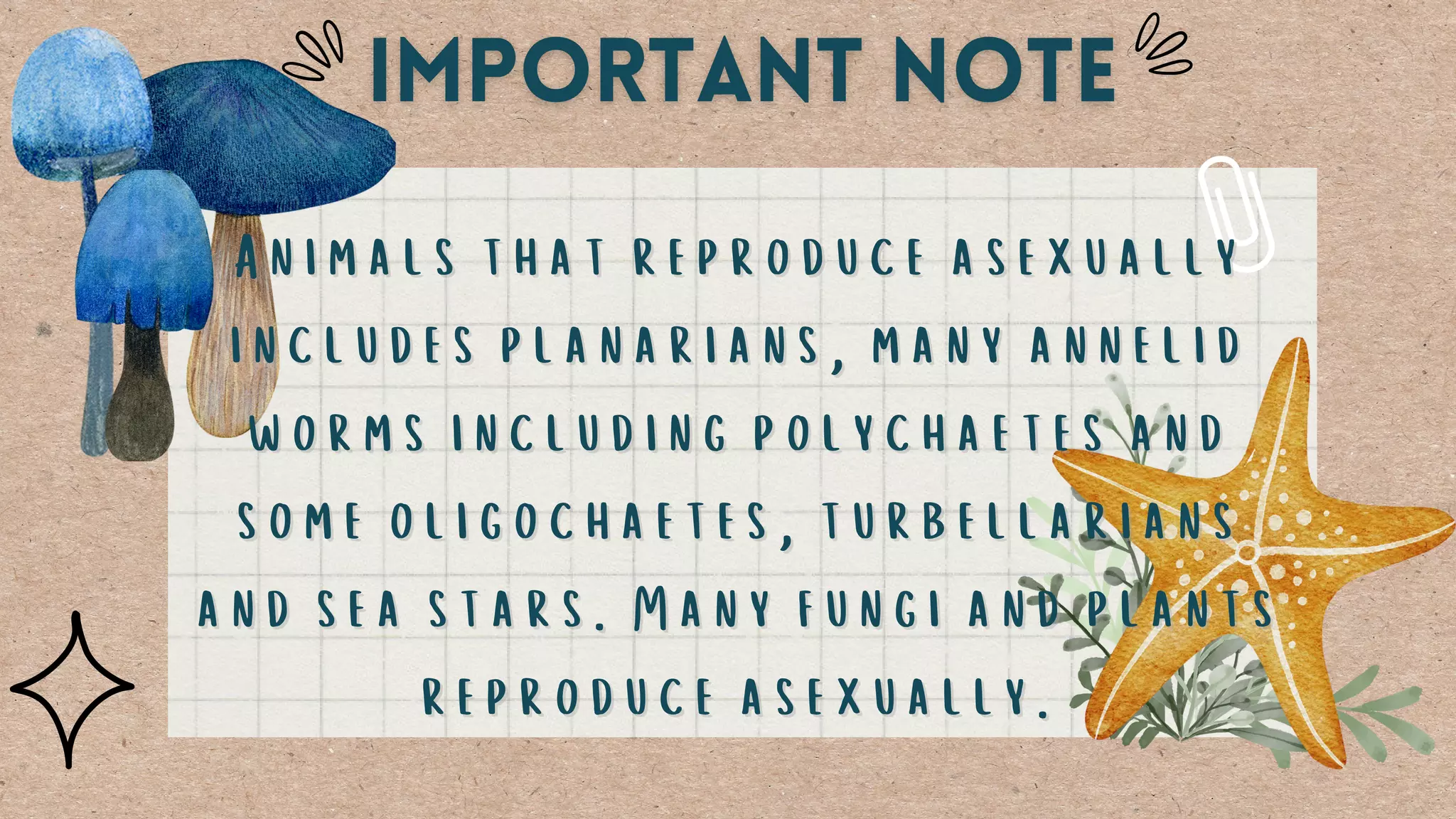 Animals that reproduce asexually
Animals that reproduce asexually
includes
includes planarians, many annelid
planarians, many annelid
worms including polychaetes and
worms including polychaetes and
some oligochaetes, turbellarians
some oligochaetes, turbellarians
and sea stars. Many fungi and plants
and sea stars. Many fungi and plants
reproduce asexually.
reproduce asexually.
 