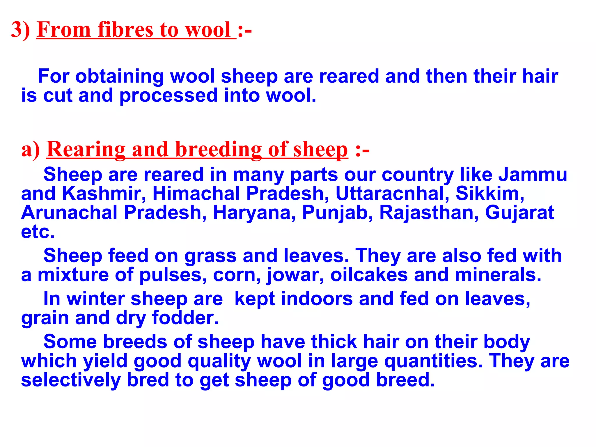 3) From fibres to wool :-
For obtaining wool sheep are reared and then their hair
is cut and processed into wool.
a) Rearing and breeding of sheep :-
Sheep are reared in many parts our country like Jammu
and Kashmir, Himachal Pradesh, Uttaracnhal, Sikkim,
Arunachal Pradesh, Haryana, Punjab, Rajasthan, Gujarat
etc.
Sheep feed on grass and leaves. They are also fed with
a mixture of pulses, corn, jowar, oilcakes and minerals.
In winter sheep are kept indoors and fed on leaves,
grain and dry fodder.
Some breeds of sheep have thick hair on their body
which yield good quality wool in large quantities. They are
selectively bred to get sheep of good breed.
 