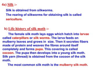 4a) Silk :-
Silk is obtained from silkworms.
The rearing of silkworms for obtaining silk is called
sericulture.
b) Life history of silk moth :-
The female silk moth lays eggs which hatch into larvae
called caterpillars or silk worms. The larva feeds on
mulberry leaves and grows in size. Then it secretes fibers
made of protein and weaves the fibres around itself
completely and forms pupa. This covering is called
cocoon. The pupa then develops into a young silk moth.
Silk yarn (thread) is obtained from the cocoon of the silk
moth.
The most common silk moth is the mulberry silk moth.
 