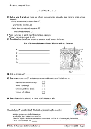 E – No rim o sangue é filtrado.
        
Analiso gráfico
8.4. Coloca uma X (cruz) nas frases que referem comportamentos adequados para manter a função urinária
saudável.
- Fazer uma alimentação rica em fibras. 
– Evitar bebidas alcoólicas. 
- Beber água em quantidade suficiente. 
– Tomar banho diariamente. 
9. A pele é um órgão de grande importância no nosso organismo.
A figura 7 representa um corte da pele.
9.1. Completa a legenda da figura, fazendo corresponder a cada letra um dos termos:
Poro – Derme – Glândula sudorípara – Glândula sebácea - Epiderme
A – _____________________________________
B – _____________________________________
C - _____________________________________
D – _____________________________________
E – _____________________________________
Fig.7
9.2. Onde se forma o suor? _______________________________________________________________________
9.3. Seleciona com uma cruz (X), as frases que se referem à importância da libertação do suor:
Regular a temperatura do corpo
Manter a pele limpa
Eliminar substâncias tóxicas
Tornar a pele elástica
9.4. Refere dois cuidados a ter para se manter uma boa saúde da pele.
_________________________________________________________________________
_________________________________________________________________________
10. Assinala com V (verdadeira) ou F (falsa) cada uma das afirmações seguintes:
- A pele é, também, um órgão de excreção. ______
- As glândulas sudoríparas produzem urina. ______
- Para uma higiene correta da pele devemos tomar banho e mudar de roupa e calçado diariamente. _____
- O suor é produzido nos rins. ______
4ª Ficha de Avaliação de Ciências Naturais 11 Fevereiro 2015 Page 5
 