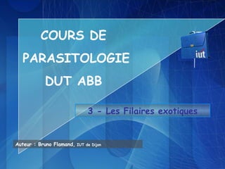COURS DE
  PARASITOLOGIE
           DUT ABB

                               3 - Les Filaires exotiques


Auteur : Bruno Flamand,   IUT de Dijon
 