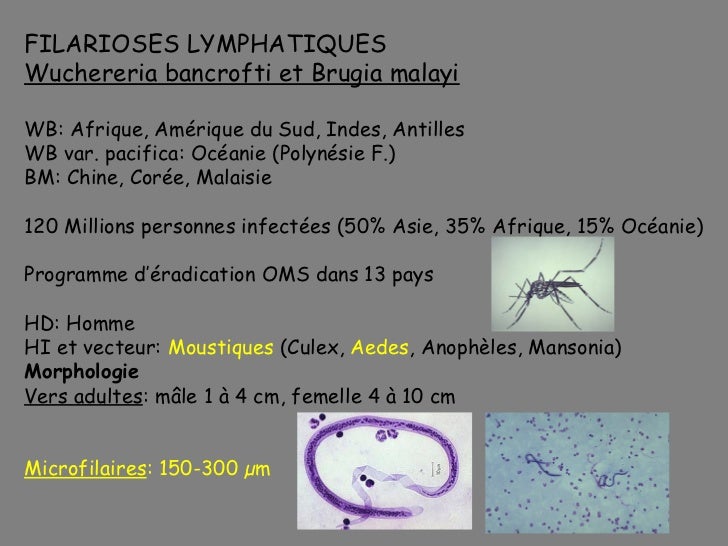 Le masque coréen pour la personne la blanchissante
