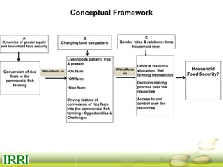 Dynamics of gender equity and household food security in rice-based farming systems