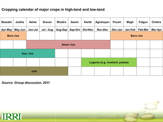Dynamics of gender equity and household food security in rice-based farming systems
