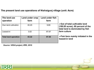 Dynamics of gender equity and household food security in rice-based farming systems