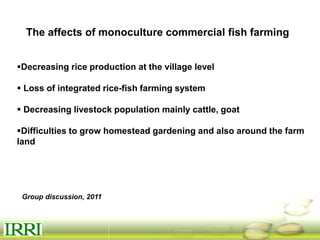 Dynamics of gender equity and household food security in rice-based farming systems