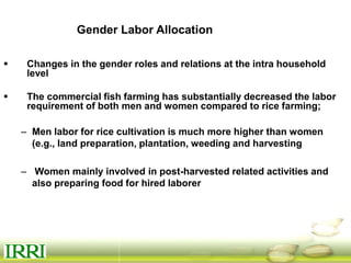 Dynamics of gender equity and household food security in rice-based farming systems