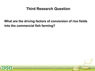 Dynamics of gender equity and household food security in rice-based farming systems