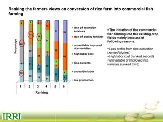 Dynamics of gender equity and household food security in rice-based farming systems
