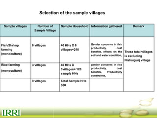 Dynamics of gender equity and household food security in rice-based farming systems
