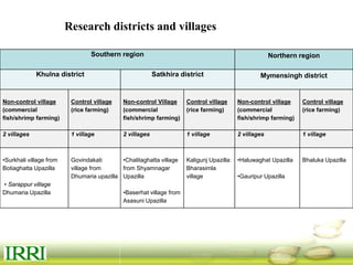 Dynamics of gender equity and household food security in rice-based farming systems