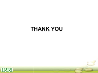 Dynamics of gender equity and household food security in rice-based farming systems