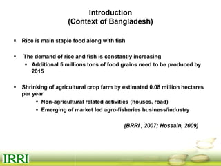 Dynamics of gender equity and household food security in rice-based farming systems