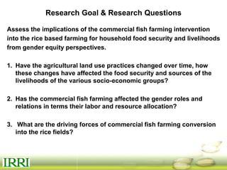 Dynamics of gender equity and household food security in rice-based farming systems