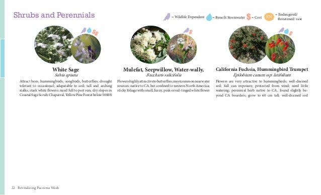 Ucla anderson bco picture