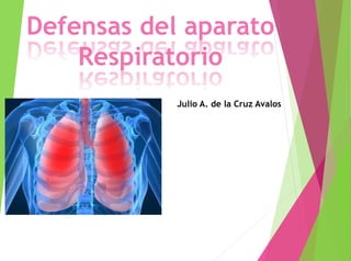 Defensas del aparato
Respiratorio
Julio A. de la Cruz Avalos
 