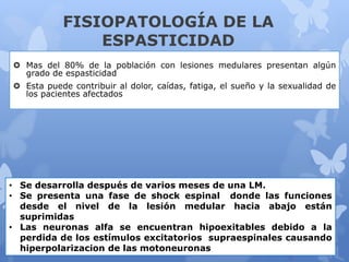 FISIOPATOLOGÍA DE LA
ESPASTICIDAD
 Mas del 80% de la población con lesiones medulares presentan algún
grado de espasticidad
 Esta puede contribuir al dolor, caídas, fatiga, el sueño y la sexualidad de
los pacientes afectados
• Se desarrolla después de varios meses de una LM.
• Se presenta una fase de shock espinal donde las funciones
desde el nivel de la lesión medular hacia abajo están
suprimidas
• Las neuronas alfa se encuentran hipoexitables debido a la
perdida de los estímulos excitatorios supraespinales causando
hiperpolarizacion de las motoneuronas
 