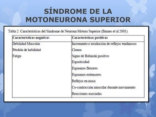 SÍNDROME DE LA
MOTONEURONA SUPERIOR
 