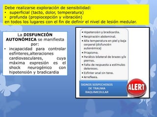 Debe realizarse exploración de sensibilidad:
• superficial (tacto, dolor, temperatura)
• profunda (propiocepción y vibración)
en todos los lugares con el fin de definir el nivel de lesión medular.
La DISFUNCIÓN
AUTONÓMICA se manifiesta
por:
• incapacidad para controlar
esfínteres,alteraciones
cardiovasculares, cuya
máxima expresión es el
shock neurogénico con
hipotensión y bradicardia
 