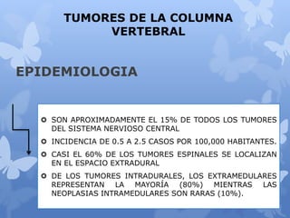 EPIDEMIOLOGIA
 SON APROXIMADAMENTE EL 15% DE TODOS LOS TUMORES
DEL SISTEMA NERVIOSO CENTRAL
 INCIDENCIA DE 0.5 A 2.5 CASOS POR 100,000 HABITANTES.
 CASI EL 60% DE LOS TUMORES ESPINALES SE LOCALIZAN
EN EL ESPACIO EXTRADURAL
 DE LOS TUMORES INTRADURALES, LOS EXTRAMEDULARES
REPRESENTAN LA MAYORÍA (80%) MIENTRAS LAS
NEOPLASIAS INTRAMEDULARES SON RARAS (10%).
TUMORES DE LA COLUMNA
VERTEBRAL
 