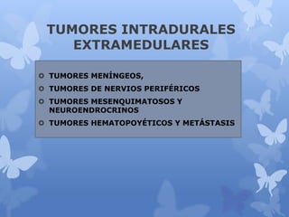 TUMORES INTRADURALES
EXTRAMEDULARES
 TUMORES MENÍNGEOS,
 TUMORES DE NERVIOS PERIFÉRICOS
 TUMORES MESENQUIMATOSOS Y
NEUROENDROCRINOS
 TUMORES HEMATOPOYÉTICOS Y METÁSTASIS
 
