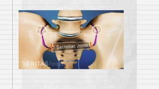 sacroiliac joint
 