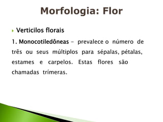 Morfologia: FlorVerticilos florais1. Monocotiledôneas -  prevalece o  número  de  três  ou  seus  múltiplos  para  sépalas, pétalas,   estames   e   carpelos.   Estas   flores   são chamadas  trímeras.