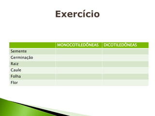 Exercício 