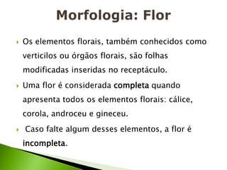 Morfologia: FlorOs elementos florais, também conhecidos como verticilos ou órgãos florais, são folhas modificadas inseridas no receptáculo. Uma flor é considerada completa quando apresenta todos os elementos florais: cálice, corola, androceu e gineceu. Caso falte algum desses elementos, a flor é incompleta. 