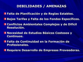 DEBILIDADES / AMENAZAS Falta de Planificación y de Reglas Estables. Bajas Tarifas y Falta de los Fondos Específicos. Conflictos Ambientales Complejos y de Difícil Resolución. Necesidad de Estudios Básicos Costosos y Continuos. Falta de Continuidad en la Formación de Profesionales. Requiere Desarrollo de Empresas Proveedoras. 