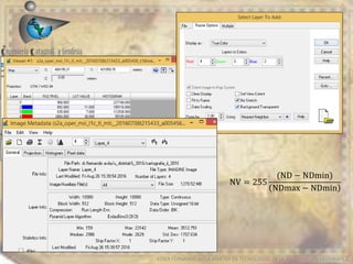 EDIER FERNANDO AVILA MARTER EN TECNOLOGIAS DE LA INFORMACION GEOGRAFICA
NV = 255
(ND − NDmin)
NDmax − NDmin
 