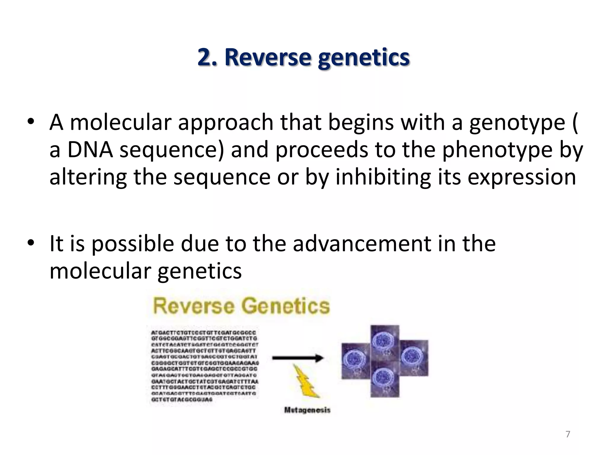 Forward And Reverse Genetics