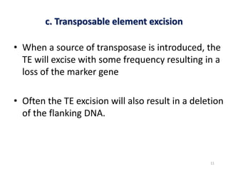 c. Transposable element excision
• When a source of transposase is introduced, the
TE will excise with some frequency resulting in a
loss of the marker gene
• Often the TE excision will also result in a deletion
of the flanking DNA.
11
 