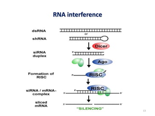 RNA interference
13
 