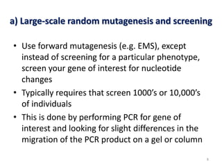 Forward and reverse genetics | PPTX