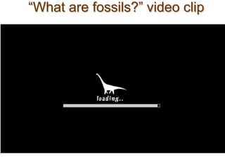 “What are fossils?” video clip
 